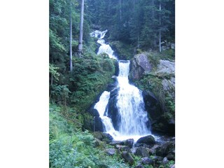 Holiday apartment Hornberg Environment 25