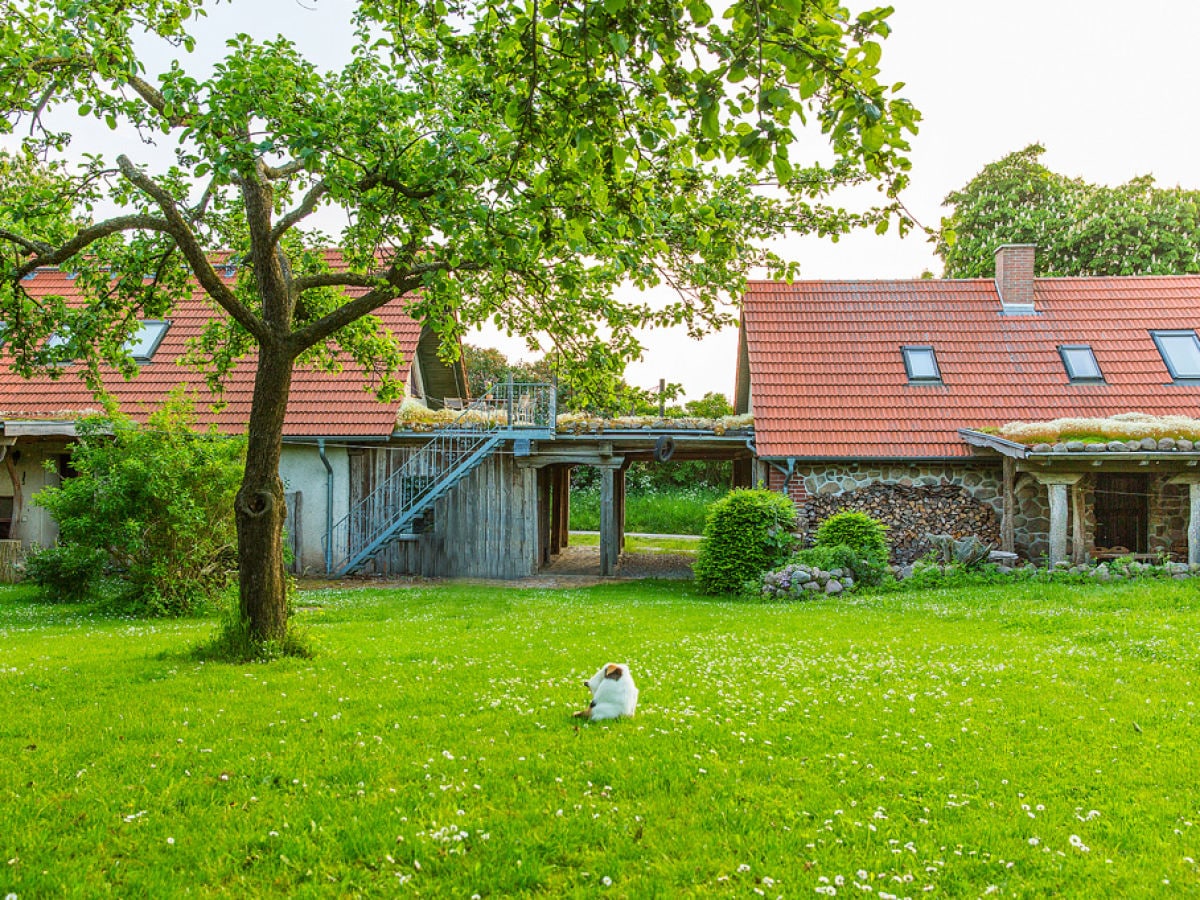 Ferienhaus Grethe mit Innenhof