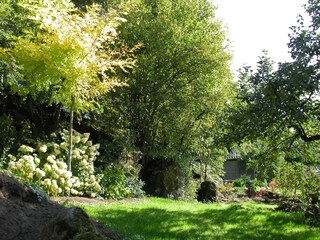 Garten mit Hortensien