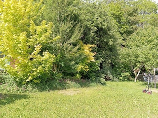 Garten hinten