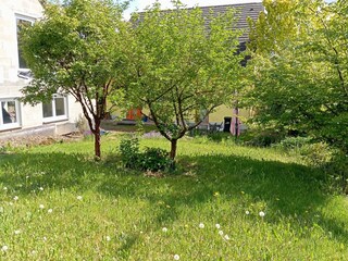 Garten  vorne