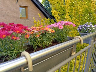 Ferienwohnung Berlingen Außenaufnahme 2