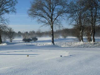 Winterwunderland 2021, nebenan auf dem Golfplatz