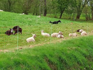 Fresspause bei  den neuen Mitarbeitern auf  Golfplatz