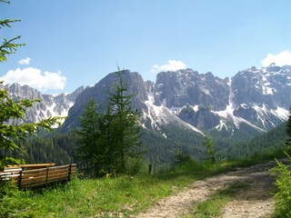 Wanderung durch den Lärchenwald