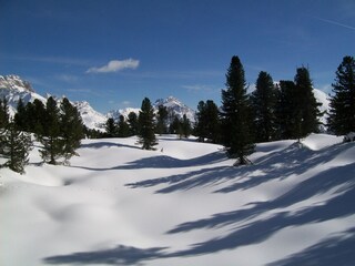 Appartamento per vacanze St. Martin in Thurn Ambiente 12