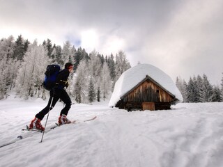 Apartamento de vacaciones St. Martin in Thurn Entorno 13