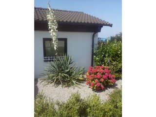 Apartamento de vacaciones Hohenkirchen in Mecklenburg Grabación al aire libre 5