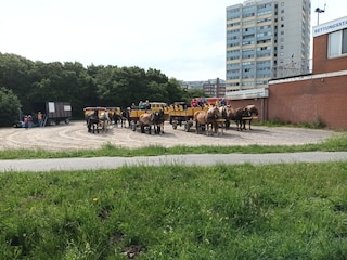 Wattwagenfahrt von Sahlenburg  nach Neuwerk