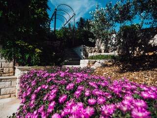 Casa per le vacanze Vinisce Registrazione all'aperto 11