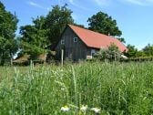 Grün neben dem Ferienhaus