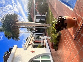 Bungalow La Victoria de Acentejo Registrazione all'aperto 15