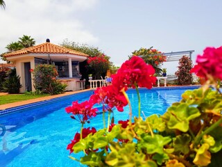 Bungalow La Victoria de Acentejo Registrazione all'aperto 8