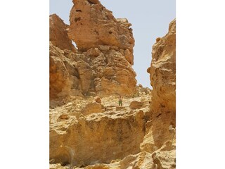 Bungalow La Victoria de Acentejo Ambiente 39