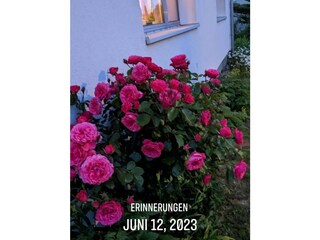 Ferienhaus Scharbeutz Ausstattung 29