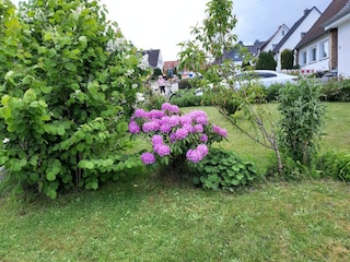 Ferienhaus Scharbeutz Ausstattung 21