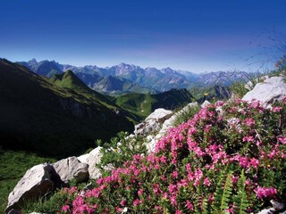 Appartamento per vacanze Riezlern Ambiente 17