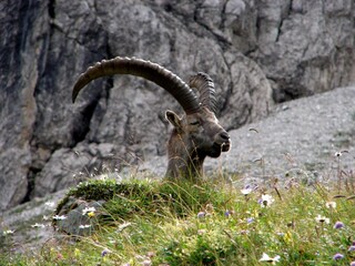 Appartamento per vacanze Riezlern Ambiente 15