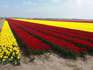 Casa per le vacanze Sint Maartenszee Ambiente 20