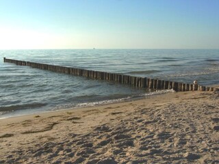 Ostsee pur