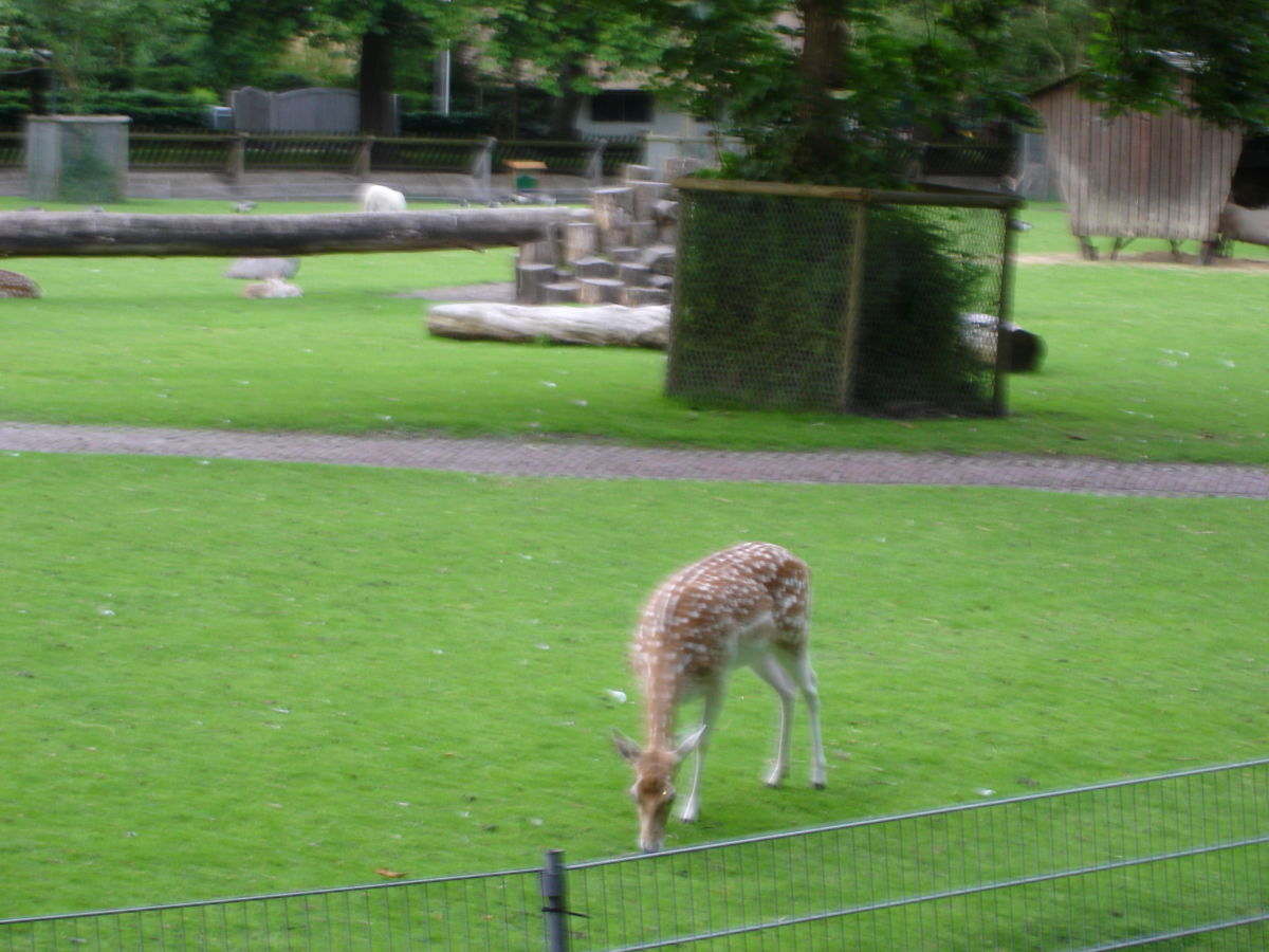 Apartment Hertenpark, Bergen (Holland), Familie Joke Bakker Apartment Hertenpark, Bergen (Holland), Familie Joke Bakker