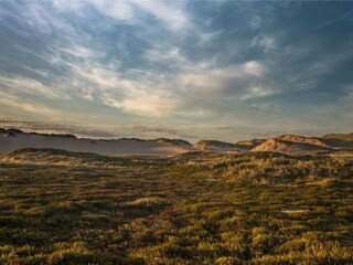 Dünenlandschaft