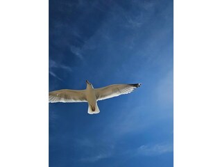 Vakantiehuis Callantsoog Omgeving 12