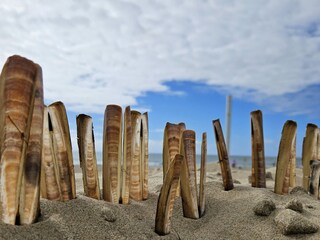 Vakantiehuis Callantsoog Omgeving 13