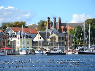 Maison de vacances Ostseebad Schönhagen Environnement 22