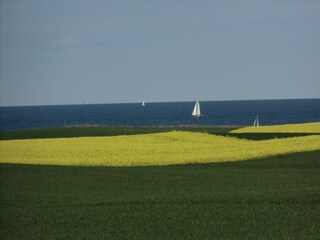 Casa de vacaciones Ostseebad Schönhagen Entorno 24