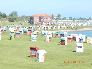 Grasstrand in Horumersiel
