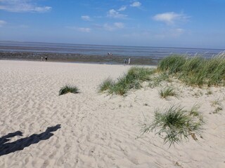Sandstrand in Schillig