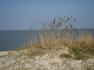 Dünen in Schillig