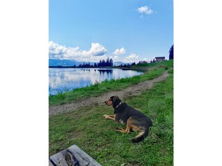 Vakantiehuis Bad Häring Omgeving 28