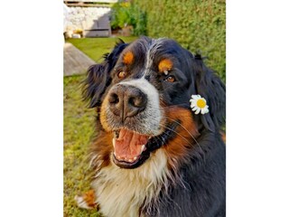 Casa per le vacanze Bad Häring Registrazione all'aperto 14