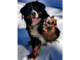 Casa per le vacanze Bad Häring Ambiente 32