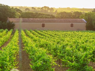 Appartamento per vacanze Servian Registrazione all'aperto 4