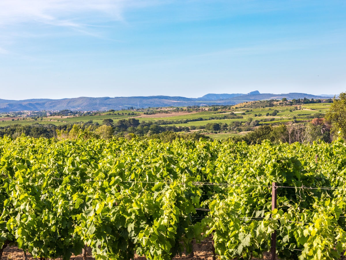 vue depuis les vignes de pouzac