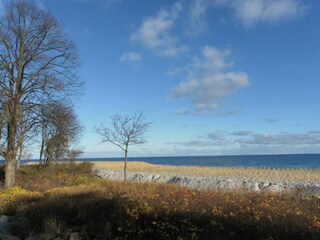 The view at the beach