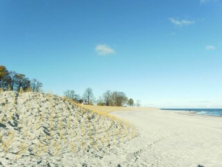 The view at the beach