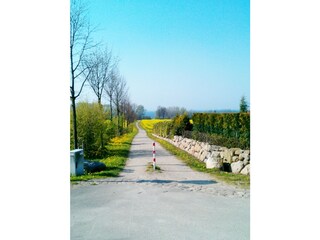 The walkway to the beach