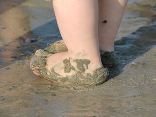 Wanderung im Wattenmeer