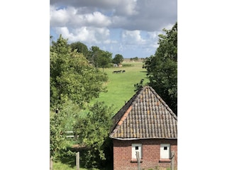 Blick vom Balkon