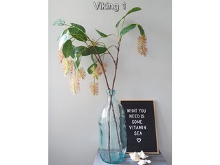 Appartamento per vacanze Westkapelle Caratteristiche 11