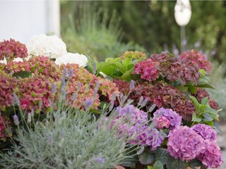 Appartamento per vacanze Lenggries Registrazione all'aperto 4