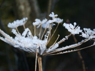 Appartamento per vacanze Lenggries Ambiente 28
