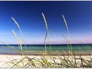 Ostsee Fehmarn (Grüner Brink)