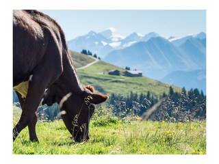 Appartamento per vacanze Bramberg am Wildkogel Ambiente 40