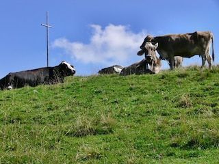 Friedliche Bergwelt