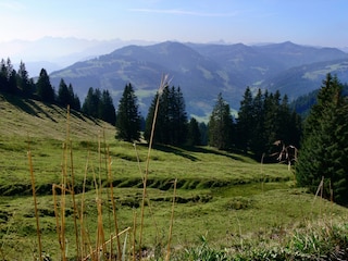 Wiesen und Berge